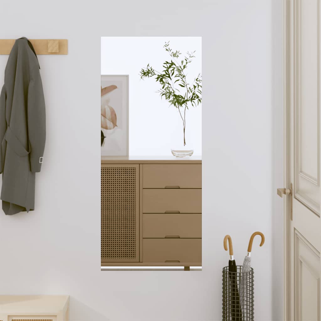 Vidaxl Wall Mirror 40x80 cm rektangulært glas