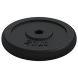 Vidaxl Halter Disc 40 kg støbejern