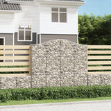 Vidaxl Gabions 2 stk. Buet 200x30x180 200 cm jern