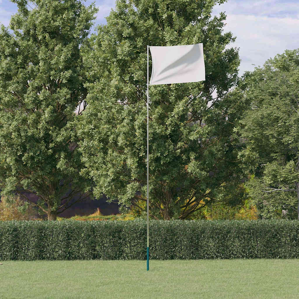 Vidaxx flagstang teleskopisk 5,5 m aluminium sølvfarvet