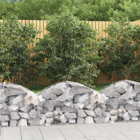Vidaxx Gabion hvælvede 100x50x40 60 cm galvaniseret jern