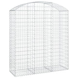 Vidaxx Gabion hvælvede 150x50x160 180 cm galvaniseret jern