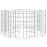 Vidaxl Gabion Fire Pit Ø 100 cm galvaniseret jern