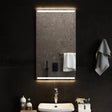 Vidaxx badeværelsesspejl LED 50x90 cm