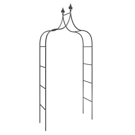 Vidaxl Garden Arches 2 PCS 120x38x260 cm stål sort sort