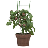 VIDAXXL PLANT understøtter 5 stk med 3 ringe 45 cm stålgrøn