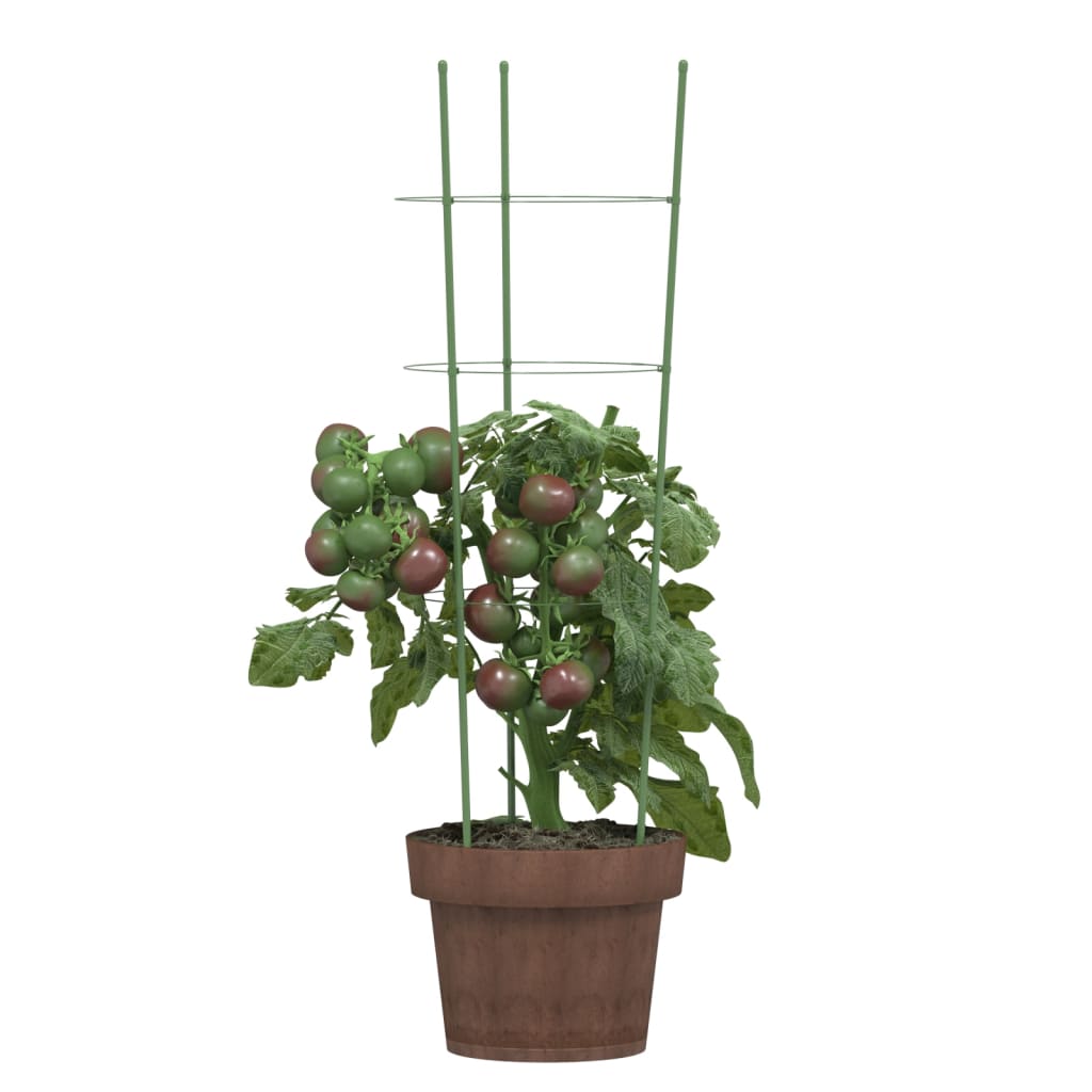 Vidaxl Plant understøtter 5 stk med 3 ringe 60 cm stålgrøn