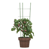 Vidaxl Plant understøtter 5 stk med 3 ringe 60 cm stålgrøn