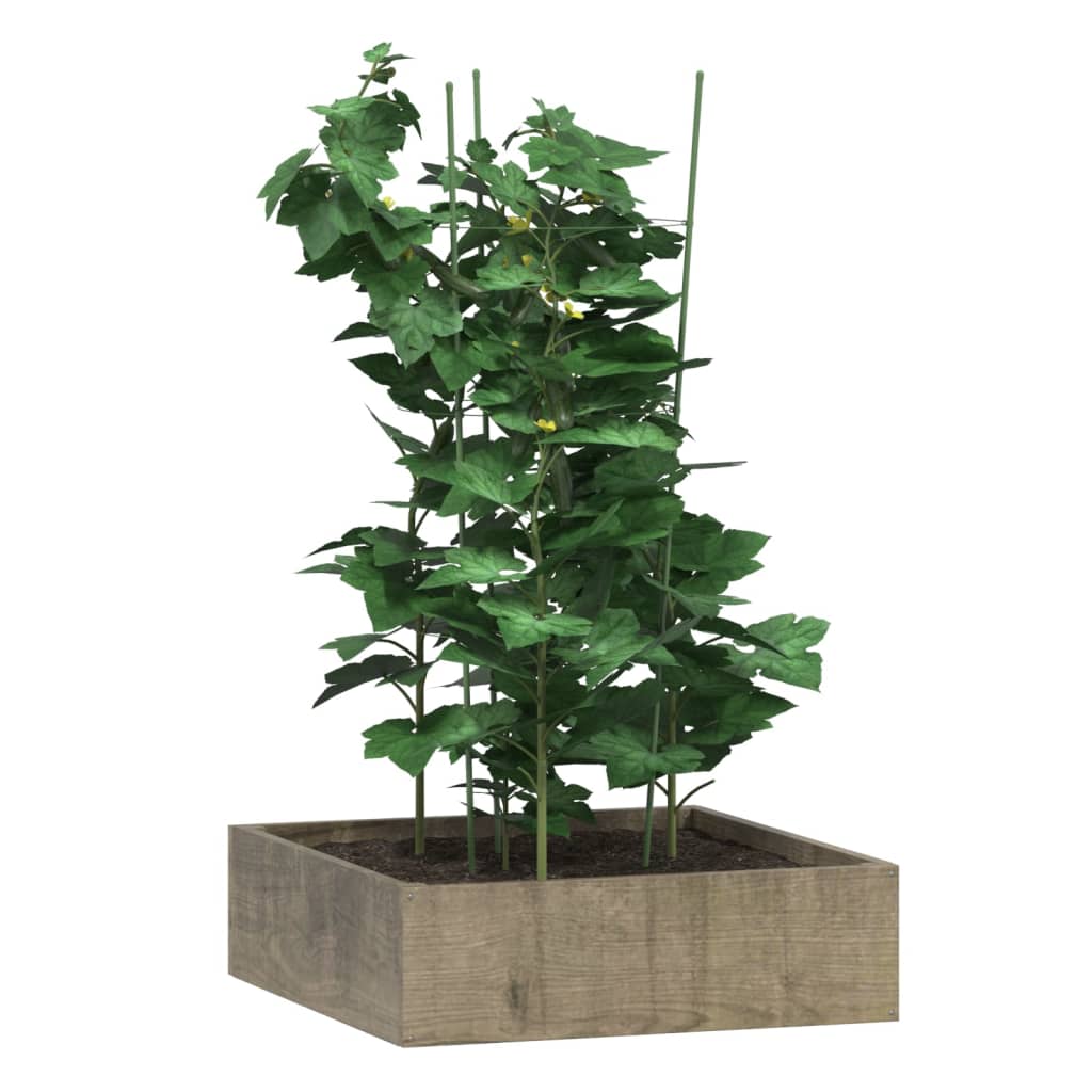 Vidaxl Plant understøtter 5 stk med 3 ringe 75 cm stålgrøn