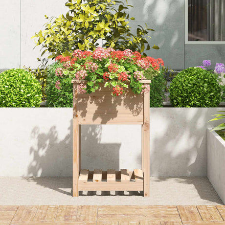 Vidaxx planter med hylde 54x54x81 cm fast fyrretræ