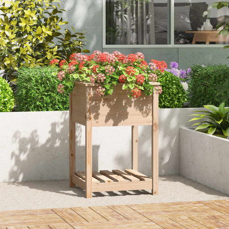 Vidaxx planter med hylde 54x54x81 cm fast fyrretræ