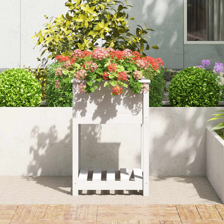 Vidaxx planter med hylde 54x54x81 cm fast fyrretræ hvid