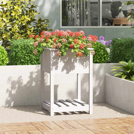Vidaxx planter med hylde 54x54x81 cm fast fyrretræ hvid
