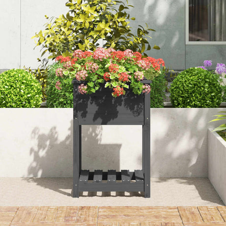 Vidaxx planter med hylde 54x54x81 cm fast fyrretræ grå