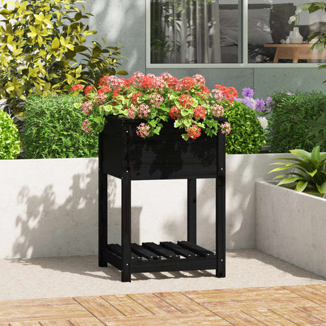 Vidaxx planter med hylde 54x54x81 cm solid fyrretræ sort