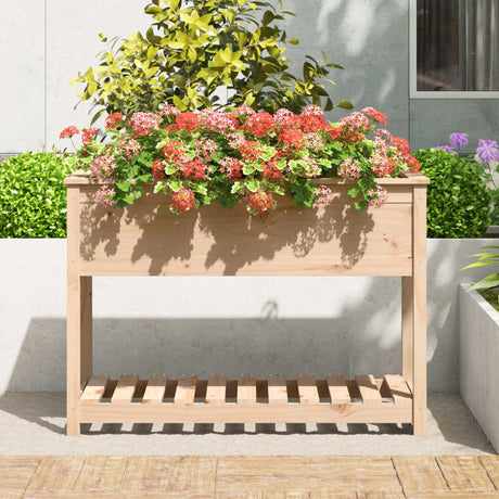 Vidaxx planter med hylde 111.5x54x81 cm fast fyrretræ