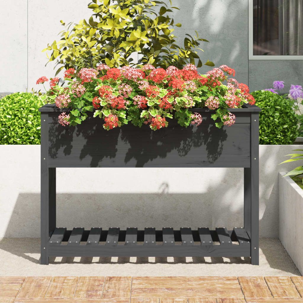 Vidaxx planter med hylde 111.5x54x81 cm solid fyrretræ grå