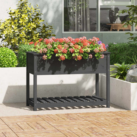 Vidaxx planter med hylde 111.5x54x81 cm solid fyrretræ grå