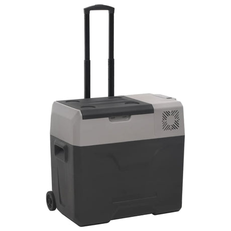 Vidaxx cool kasse med hjul og håndtag 30 l polypropylen sort og grå