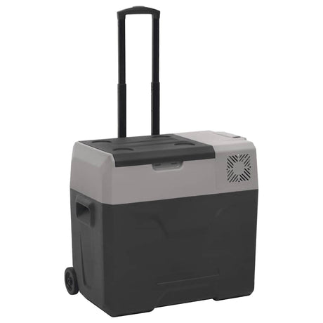 Vidaxx cool kasse med hjul og håndtag 40 L polypropylen sort og grå