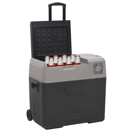 Vidaxx Cool Box med hjul og håndtag 50 L polypropylen sort og grå