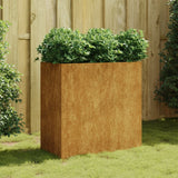 Vidaxx plantekasse 80x40x80 cm corten stål