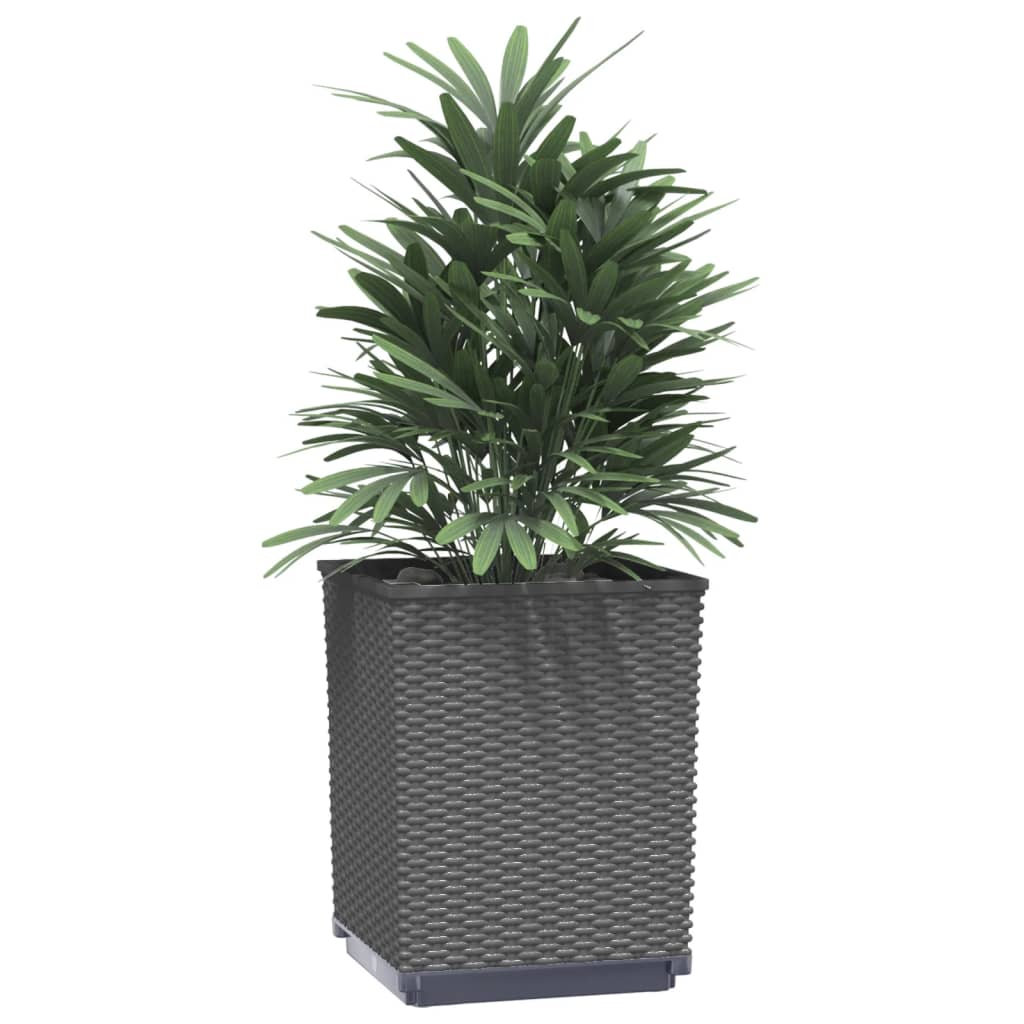 Vidaxx plantekasser 2 stk 30x30x37 cm polypropylen sort