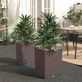 Vidaxx plantekasser 2 stk 30x30x37 cm polypropylen brun