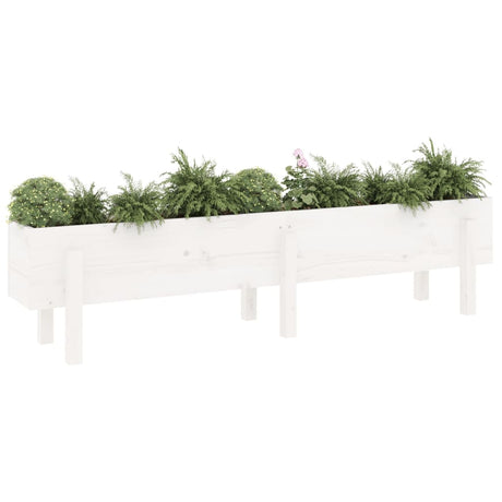 Vidaxx planter hævet 160x30x38 cm fast fyrretræ hvid