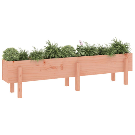 Vidaxl Planter hævet 160x30x38 cm solid Douglas Wood