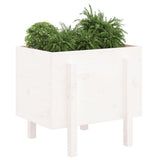 Vidaxx planter 62x50x57 cm fast fyrretræ hvid
