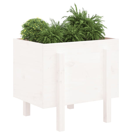 Vidaxx planter 62x50x57 cm fast fyrretræ hvid
