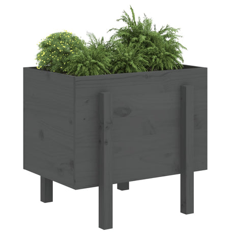 VIDAXX PLANTER 62X50X57 CM SOLID PINE TRE GRÅ