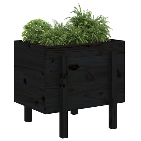 VIDAXX PLANTER 62X50X57 CM SOLID PINE TRÆ Sort