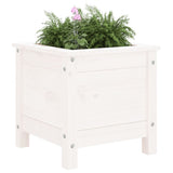 Vidaxx planter 40x40x39 cm fast fyrretræ hvid