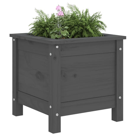 Vidaxx planter 40x40x39 cm solid fyrretræ grå