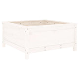 Vidaxx planter 82.5x82.5x39 cm Solid fyrretræ hvid