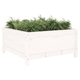 Vidaxx planter 82.5x82.5x39 cm Solid fyrretræ hvid