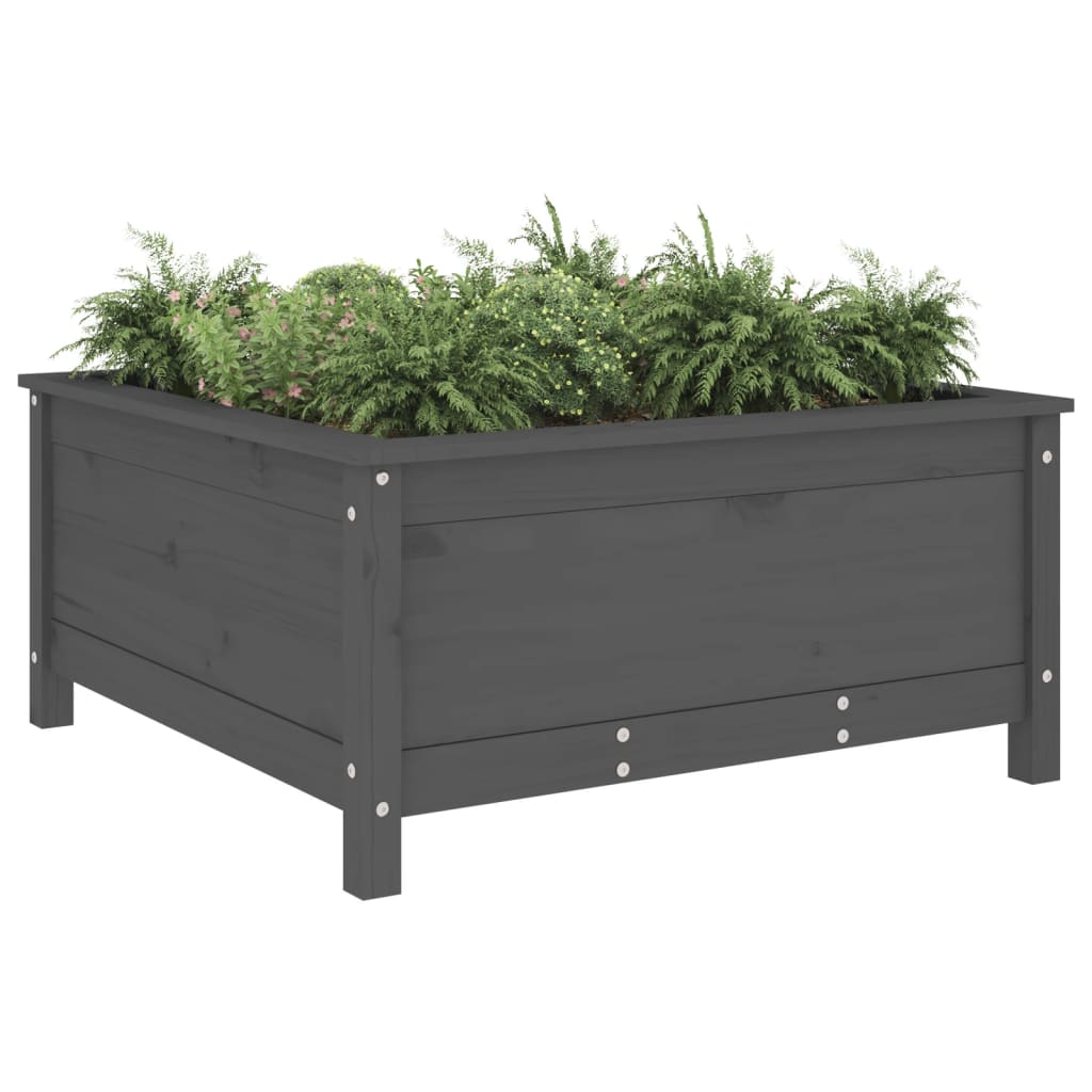 Vidaxx planter 82.5x82.5x39 cm Solid fyrretræ grå