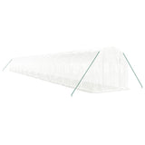 Vidaxl Garden drivhus med stålramme 44 m² 22x2x2 m hvid