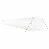 Vidaxl Garden drivhus med stålramme 48 m² 24x2x2 m hvid