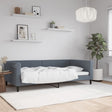 Vidaxl slaapbank 100x200 cm fluweel donkergrijs