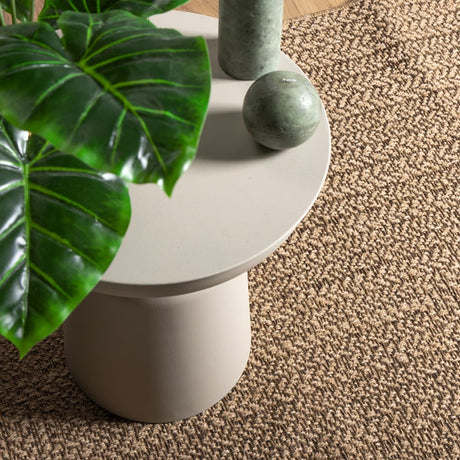 Vidaxl Rug Zizur Indoor og Outdoor 200x290 cm Jute Look