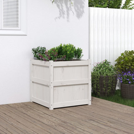 Vidaxx plantekasse 60x60x60 cm massiv fyrretræ hvid