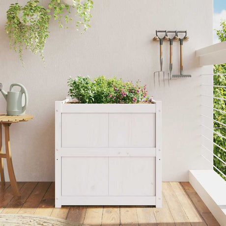 Vidaxx plantekasse 70x70x70 cm massiv fyrretræ hvid