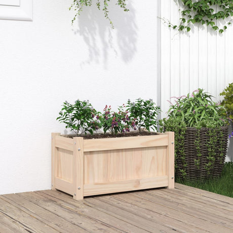 Vidaxx plantekasse 60x31x31 cm massivt fyrretræ