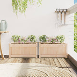 Vidaxx plantekasser 2 stk cm massivt fyrretræ