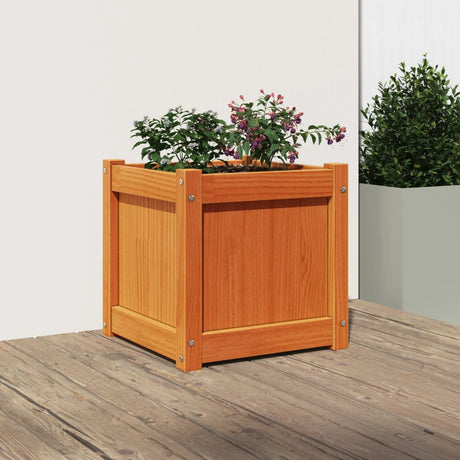 Vidaxx plantekasse 40x40x40 cm massiv fyrretræ, vask brun
