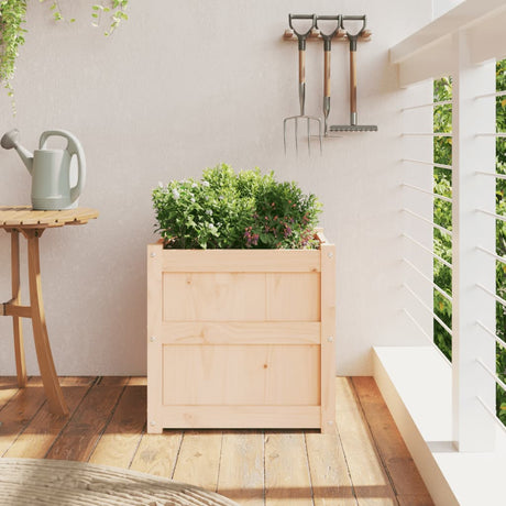 VidaXL plantekasse 50x50x50 cm massivt fyrretræ