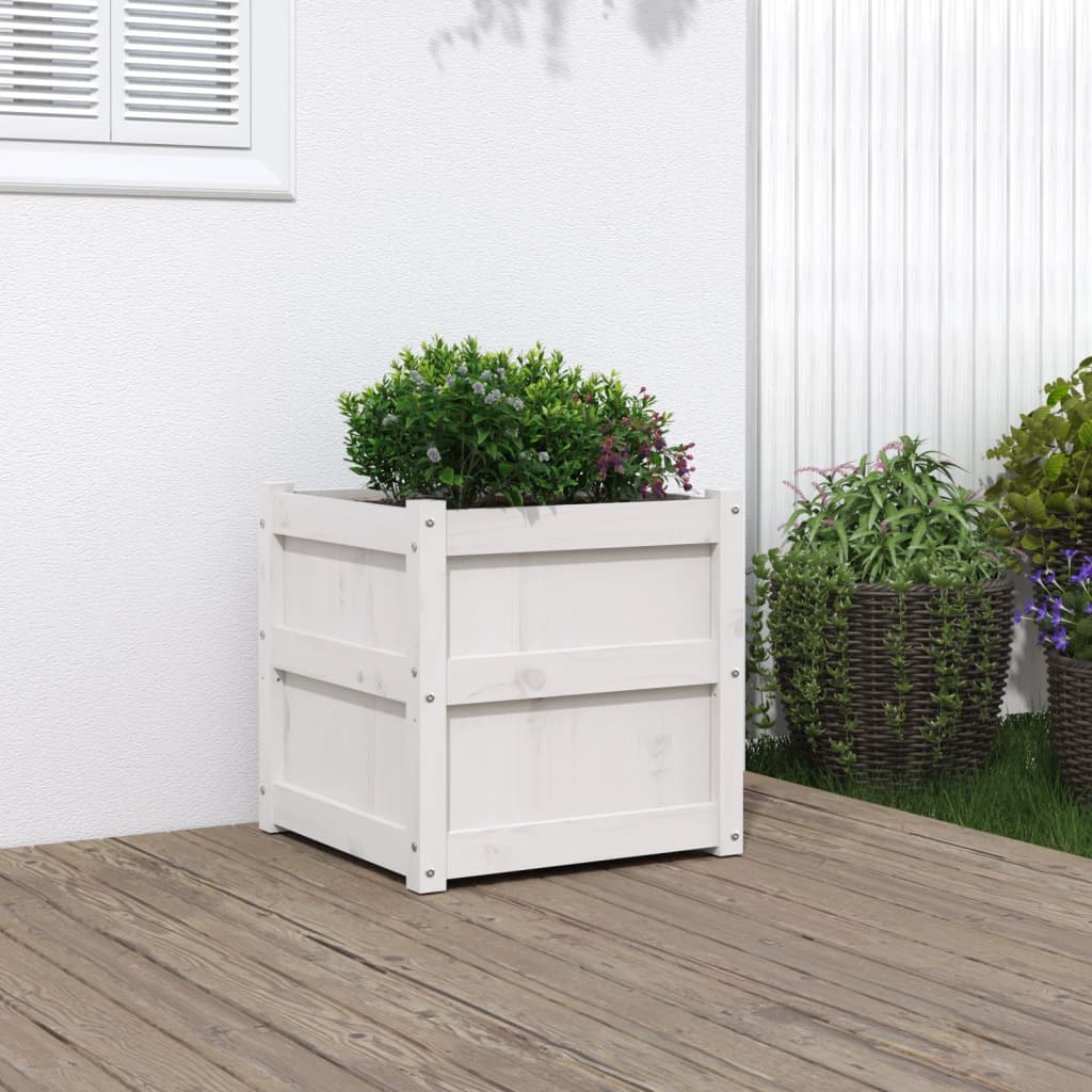 Vidaxx plantekasse 50x50x50 cm massiv fyrretræ hvid
